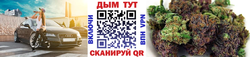 Каннабис индика Покачи